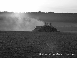 Landwirtschaft in Badem